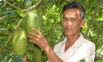 Tìm chìa khóa giảm nghèo ở vùng đất Phụng Hiệp