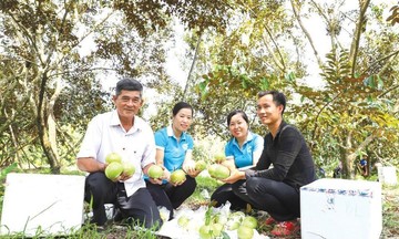 Khơi dậy tiềm năng, tiếp sức giảm nghèo trên vùng đất Tây Đô