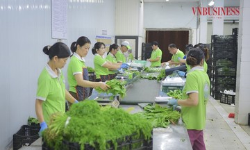HTX số hóa nông nghiệp, nâng tầm giá trị nông sản Thủ đô