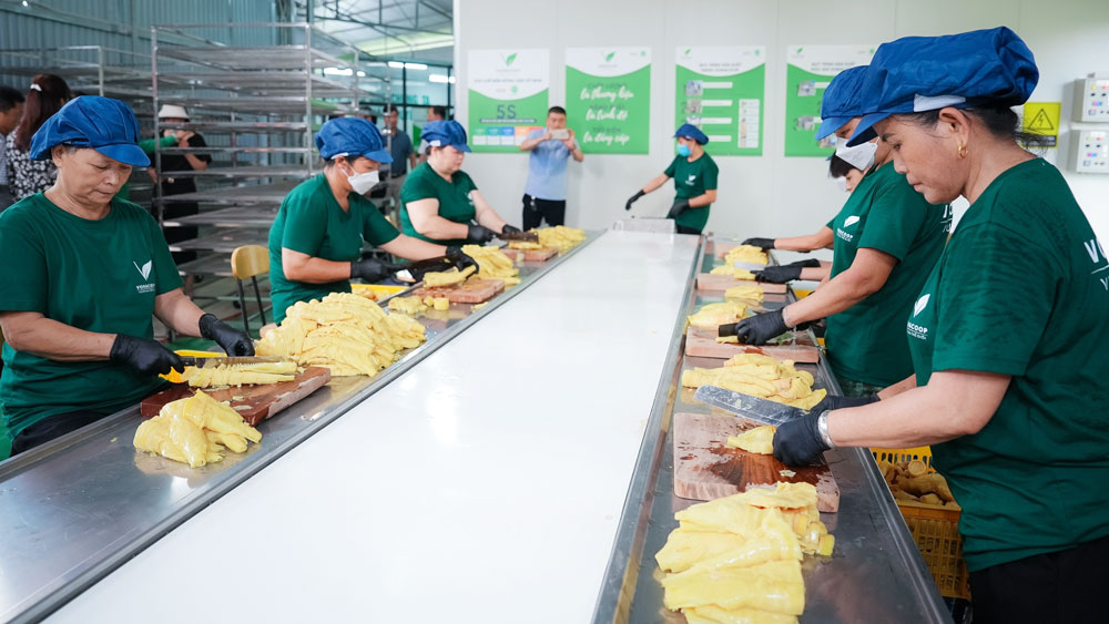 HTX trong hành trình giảm nghèo ở Võ Nhai