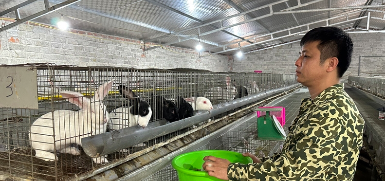 HTX làm giàu nhờ nguồn vốn chính sách