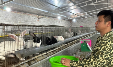 HTX làm giàu nhờ nguồn vốn chính sách