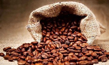 Giá cà phê giữ ổn định ở mức 130.000 đồng/kg
