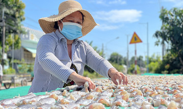 Vị mặn từ nghề làm mắm, cá khô giúp người dân Sóc Trăng đổi đời
