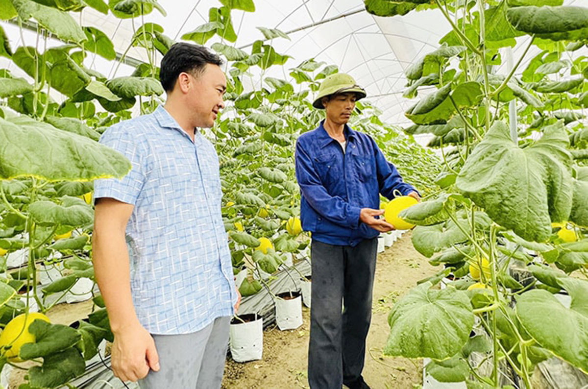 Khoa học công nghệ ‘thắp lửa’ cho nông nghiệp hiện đại ở Gia Lộc