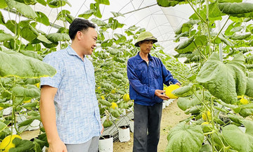 Khoa học công nghệ ‘thắp lửa’ cho nông nghiệp hiện đại ở Gia Lộc