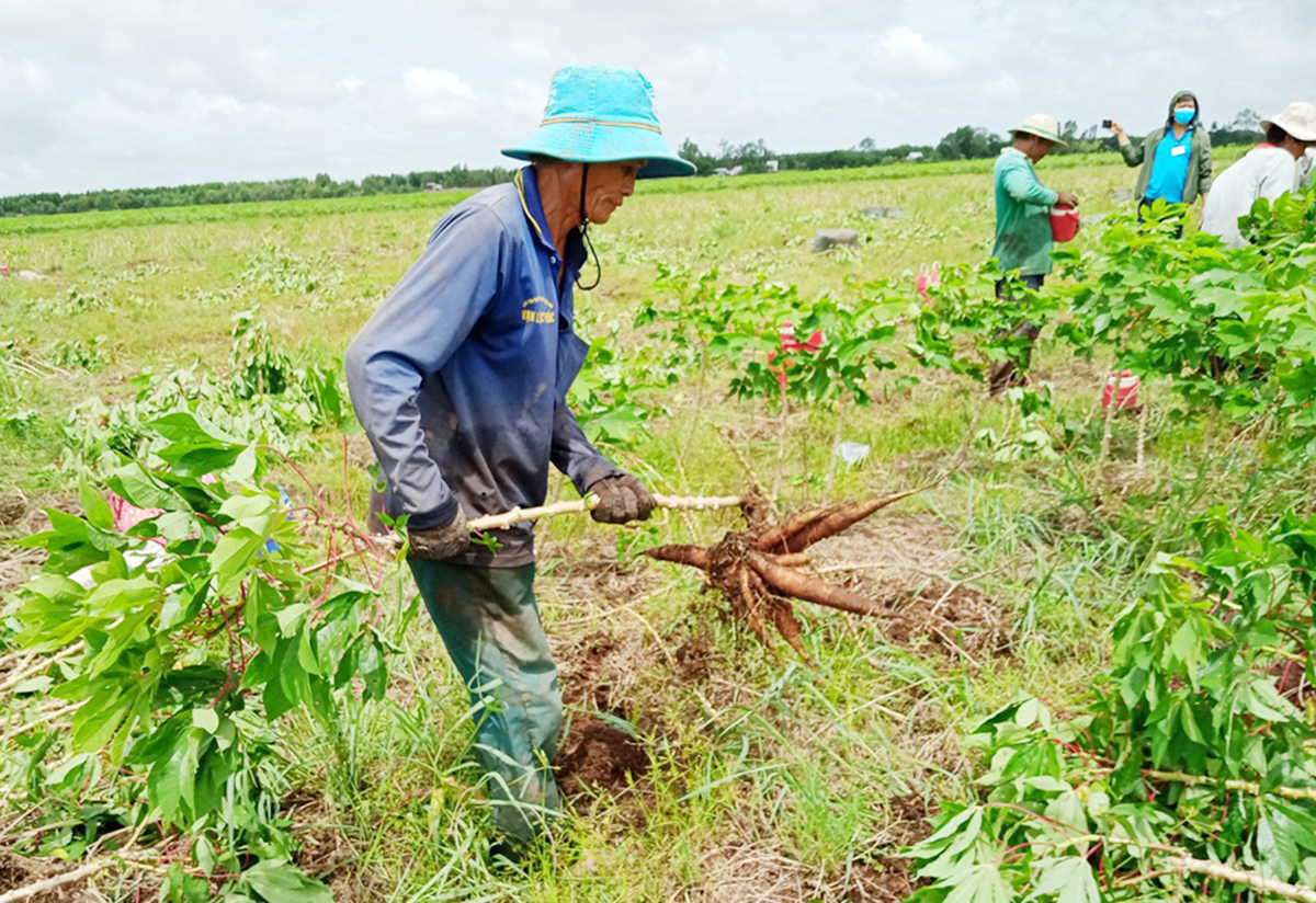 Lên núi Tri Tôn nghe chuyện người Khmer bán hàng qua mạng