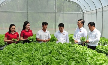 Agribank đầu tư phát triển nông 789bet link mới sạch, nông 789bet link mới công nghệ cao