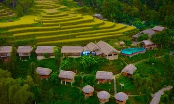 Vùng cao vươn mình nhờ đổi mới sáng tạo dựa trên tiềm năng bản địa