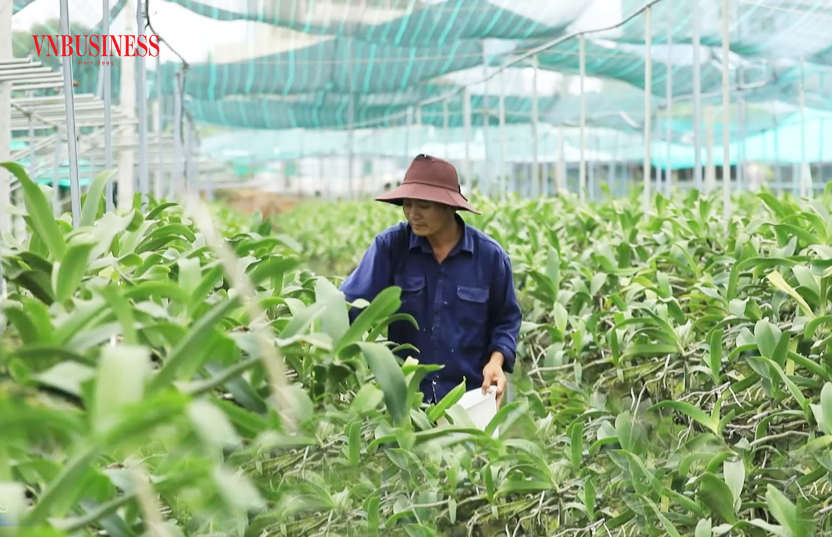 Chuyển đổi số, bứt phá nông nghiệp ở 'đất thép' Củ Chi