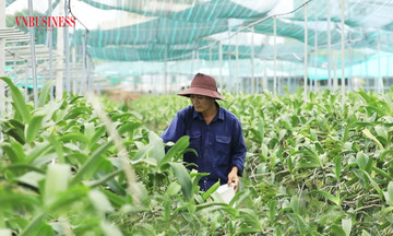 Chuyển đổi số, bứt phá nông nghiệp ở &#039;đất thép&#039; Củ Chi