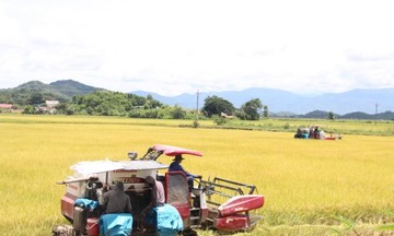 Krông Ana tạo đà phát triển kinh tế hợp tác để giảm nghèo