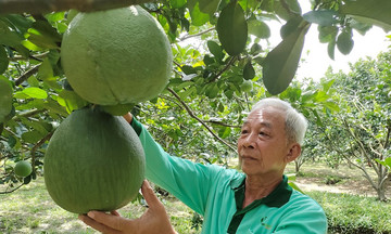 Long Mỹ hướng đến tương lai tươi sáng