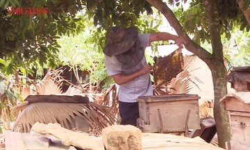 Hiệu quả từ nuôi lươn không bùn giúp nông dân Hà Tĩnh nâng cao thu nhập