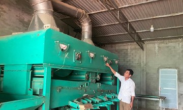 Đầu tư làm nông nghiệp công nghệ cao, HTX giúp nông dân thu hàng trăm triệu &#039;nhàn tênh&#039;