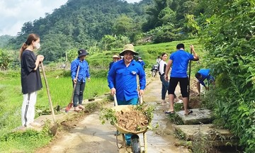 Từ 1/7 sẽ tiến hành tổng điều tra nông thôn, nông nghiệp