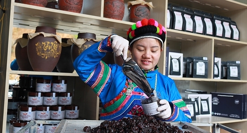 HTX góp phần thay đổi tư duy sản xuất, giúp giảm nghèo bền vững