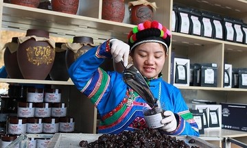 HTX góp phần thay đổi tư duy sản xuất, giúp giảm nghèo bền vững