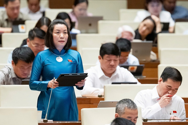 ĐBQH trăn trở, đề xuất đánh thuế tiêu thụ đặc biệt với túi nilon, nhựa sử dụng 1 lần