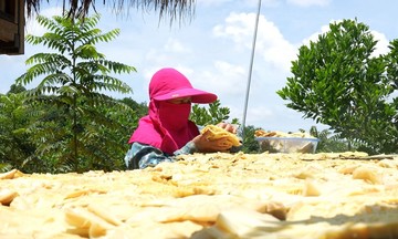 Khởi sắc đời sống người dân xã biên giới La Dêê nhờ liên kết sản xuất nông nghiệp