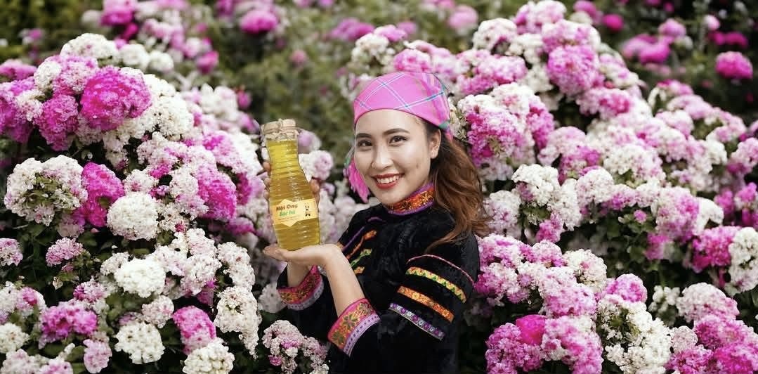 HTX tiên phong 