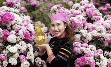HTX tiên phong &quot;số hóa&quot;, kiến tạo tương lai cho đồng bào vùng cao