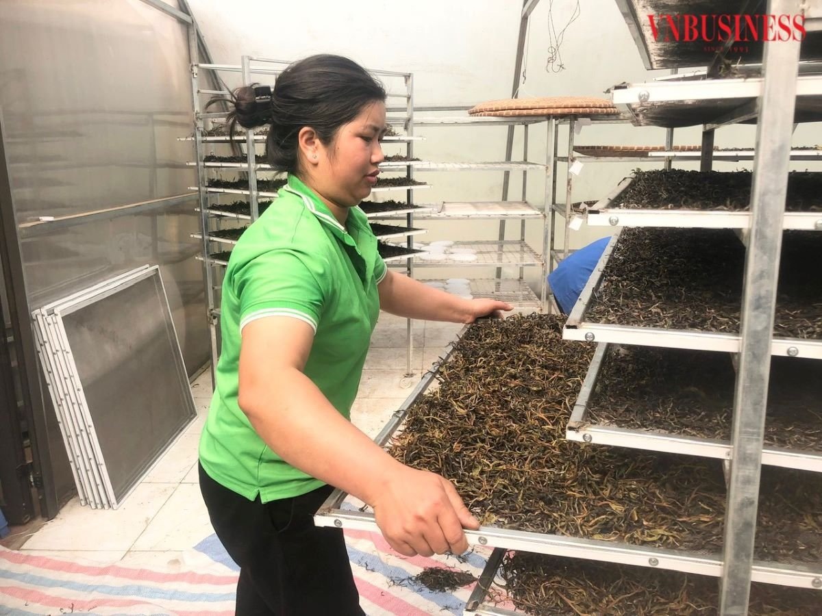 Những mô hình HTX do phụ nữ làm chủ ở Lào Cai