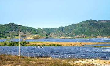 Chuyên gia dự báo: Thuế sốc là cú hích để Việt Nam trở thành trung tâm năng lượng tái tạo