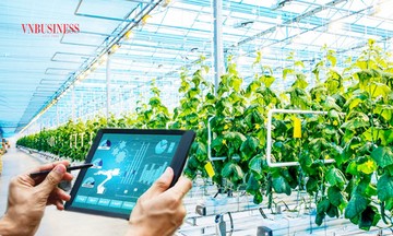 HTX ứng dụng AI: &#039;Người đi sau nhưng bứt phá nhanh&#039;