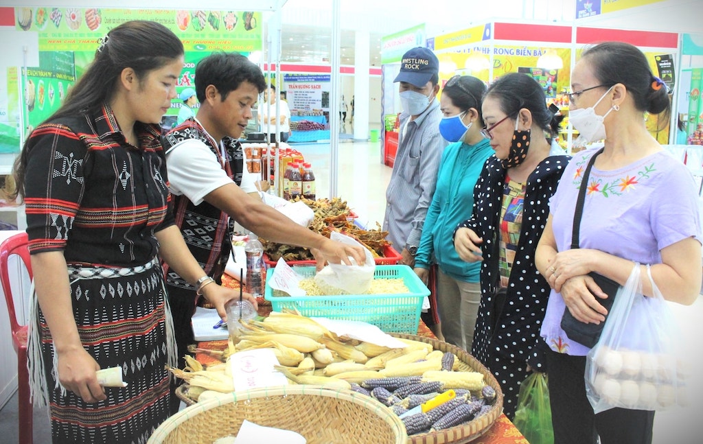‘Điểm tựa’ sản xuất nông nghiệp hàng hóa đưa người dân vùng cao Ga Ry đổi đời