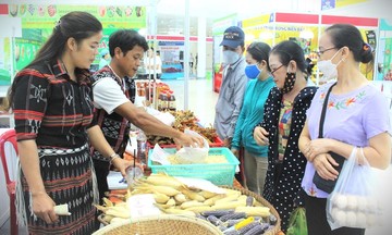 ‘Điểm tựa’ sản xuất nông nghiệp hàng hóa đưa người dân vùng cao Ga Ry đổi đời