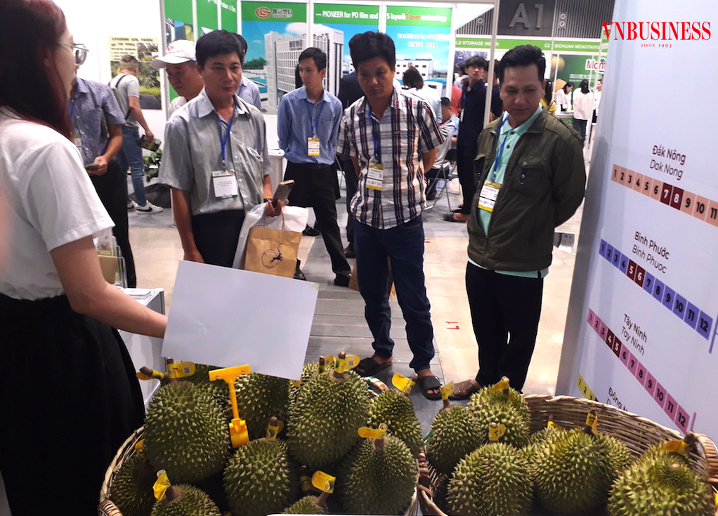 Làm gì để ngành sầu riêng không phải ‘ngậm đắng nuốt cay’?