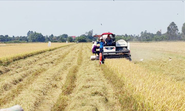 Nông dân thời đại số và những HTX làm nông nghiệp thông minh ở Kiên Giang