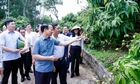 Vải thiều Bắc Giang vào vụ: Mỗi quả vải là &#039;đại sứ&#039; nông sản Việt