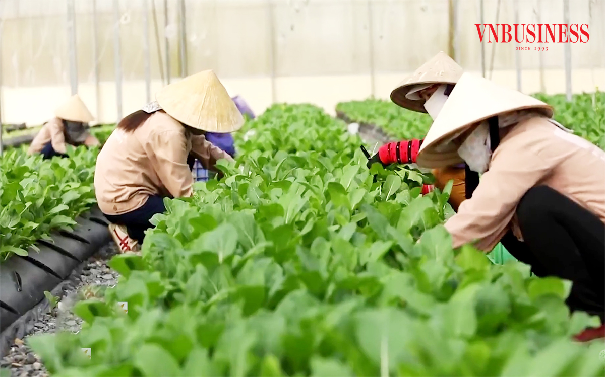 Con đường ‘số hóa’ để thoát nghèo của đồng bào dân tộc thiểu số ở Tương Dương