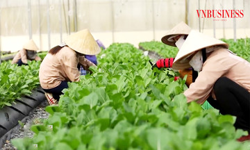 Con đường ‘số hóa’ để thoát nghèo của đồng bào dân tộc thiểu số ở Tương Dương