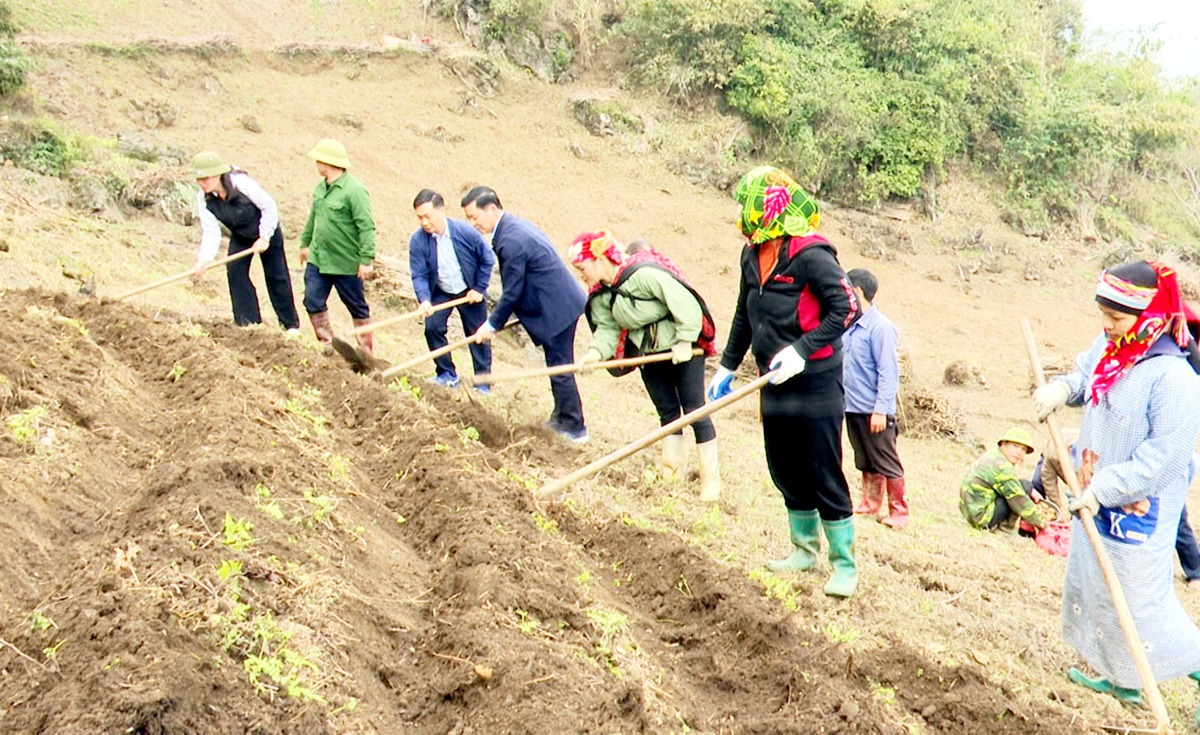 Đánh thức các mô hình 'đuổi nghèo', thu hàng trăm triệu ở Bắc Mê