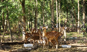 Quỹ Hỗ trợ phát triển HTX: &#039;Bà đỡ mát tay&#039; của nhiều HTX vùng biên Kon Tum