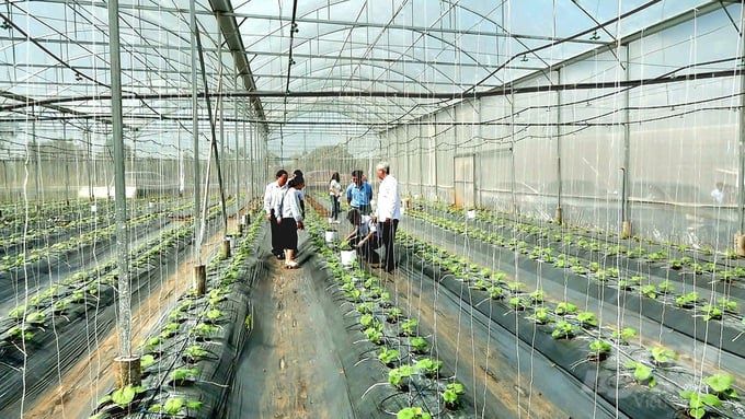'Cầu nối' chuyển đổi tư duy sản xuất ở Châu Đức