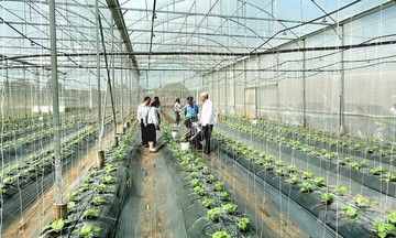 &#039;Cầu nối&#039; chuyển đổi tư duy sản xuất ở Châu Đức