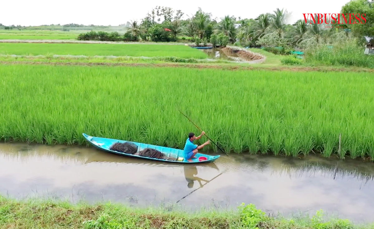 Từ lúa - tôm đến những mô hình bạc triệu trên đất phèn