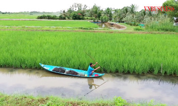 Từ lúa - tôm đến những mô hình bạc triệu trên đất phèn