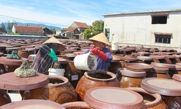 OCOP thay đổi tư duy phát triển kinh tế HTX, nâng ‘chất’ cuộc sống người dân Kỳ Anh