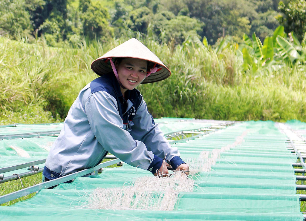 Tư duy đổi mới ở các HTX nông nghiệp giúp nông dân Cao Bằng ngày một khấm khá