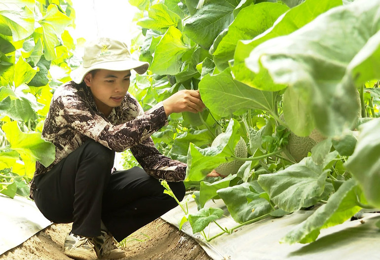 Nỗ lực bền bỉ trên hành trình giảm nghèo ở Hiệp Lực