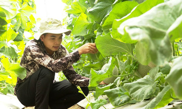 Nỗ lực bền bỉ trên hành trình giảm nghèo ở Hiệp Lực