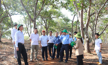 HTX ở Bù Đăng &#039;số hóa&#039; giúp nâng cao đời sống đồng bào dân tộc thiểu số