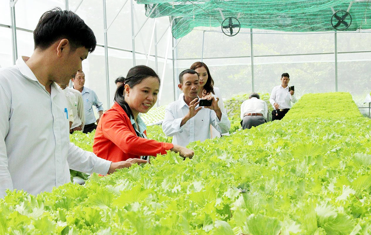 Khi nông sản Bù Gia Mập 'lên sàn' thương mại điện tử
