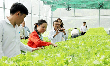 Khi nông sản Bù Gia Mập &#039;lên sàn&#039; thương mại điện tử
