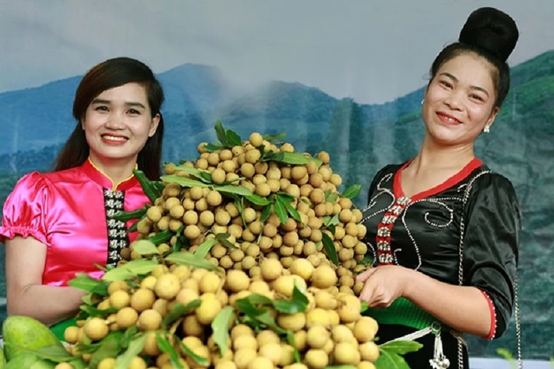 Khắc phục khó khăn, nông dân, HTX làm giàu từ trồng cây ăn quả trên đất dốc